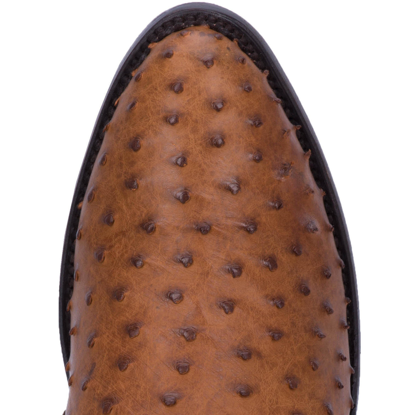 Dan Post Men's Dan Post Tempe Full Quill Ostrich Saddle Brown DP2323