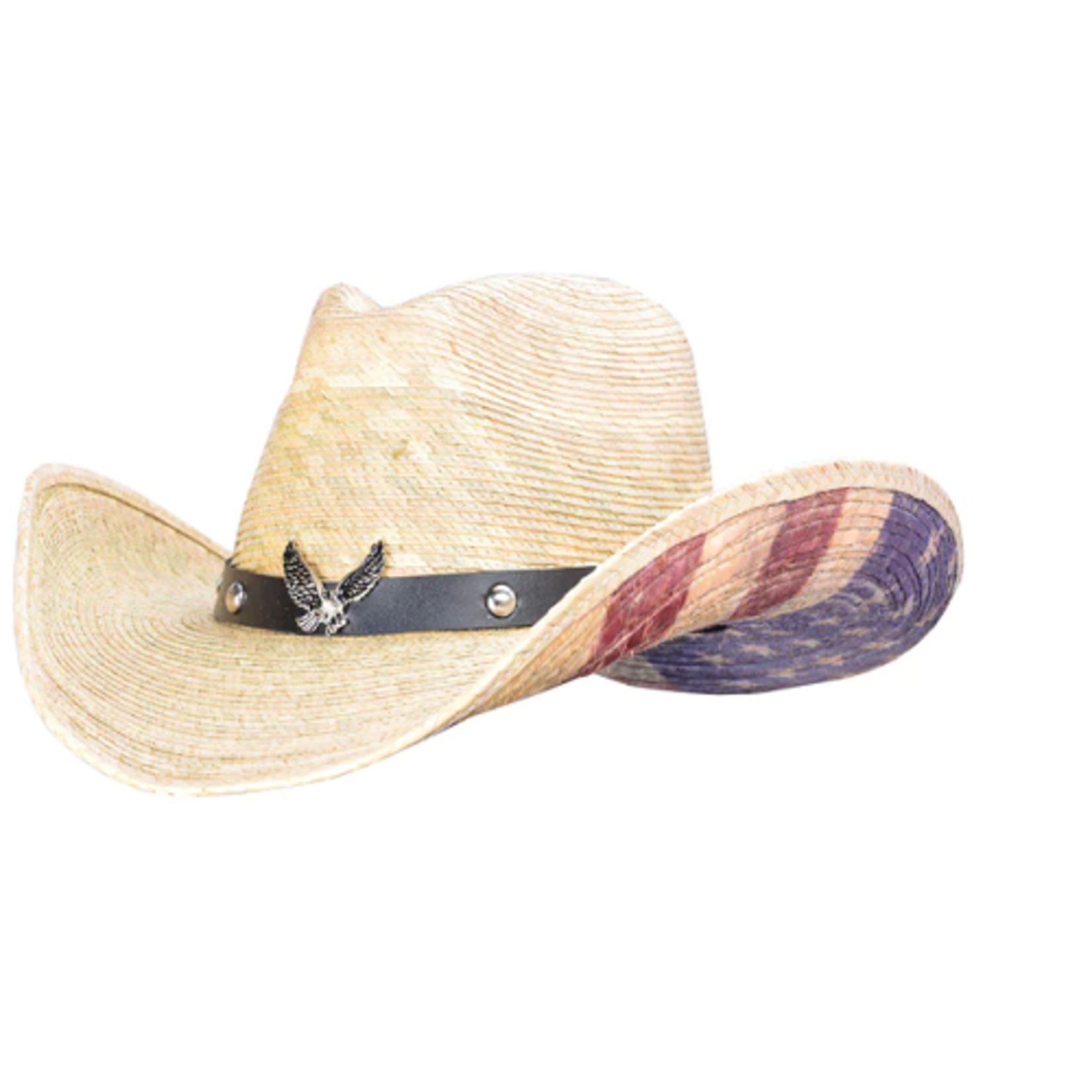 Gone Country Gone Country American Ride Palm Hat