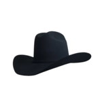 Gone Country Gone Country Yellowstone Black Hat