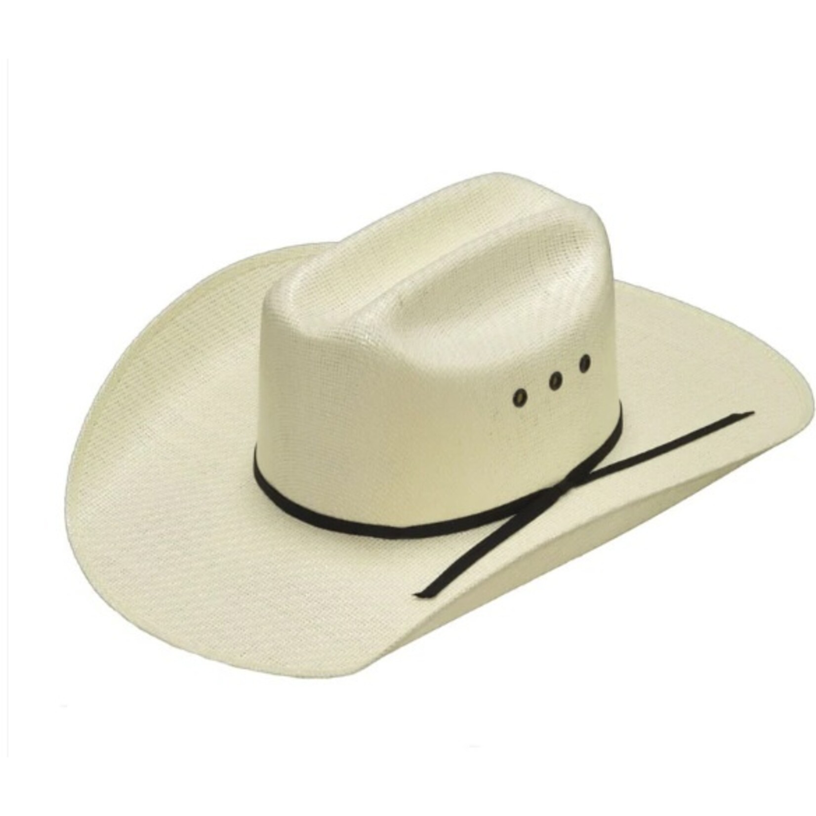 Twister Casual Western Hat T7151848
