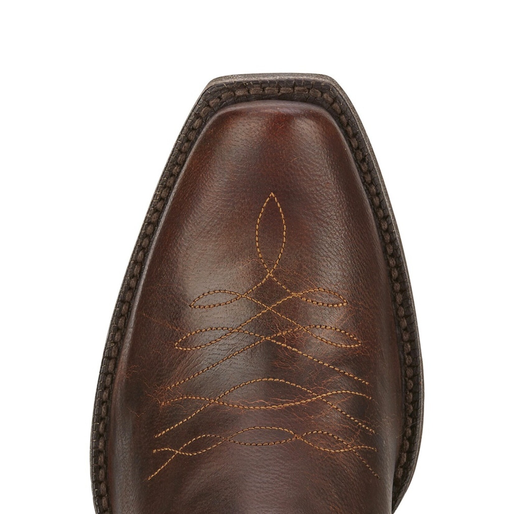 Ariat Lively Sassy Brown 10016357 Women's