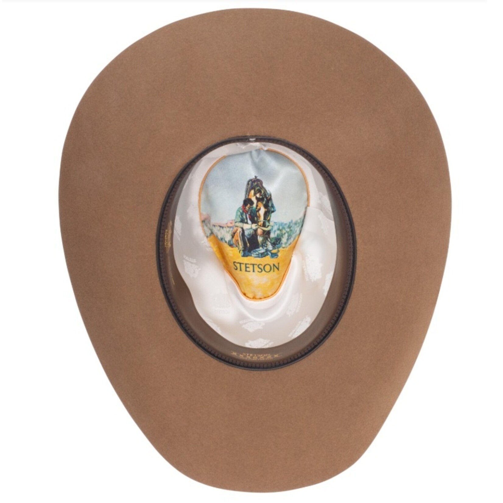 Stetson Acoustic 6X Driftwood