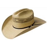 Bailey Hats Costa Straw Rustic