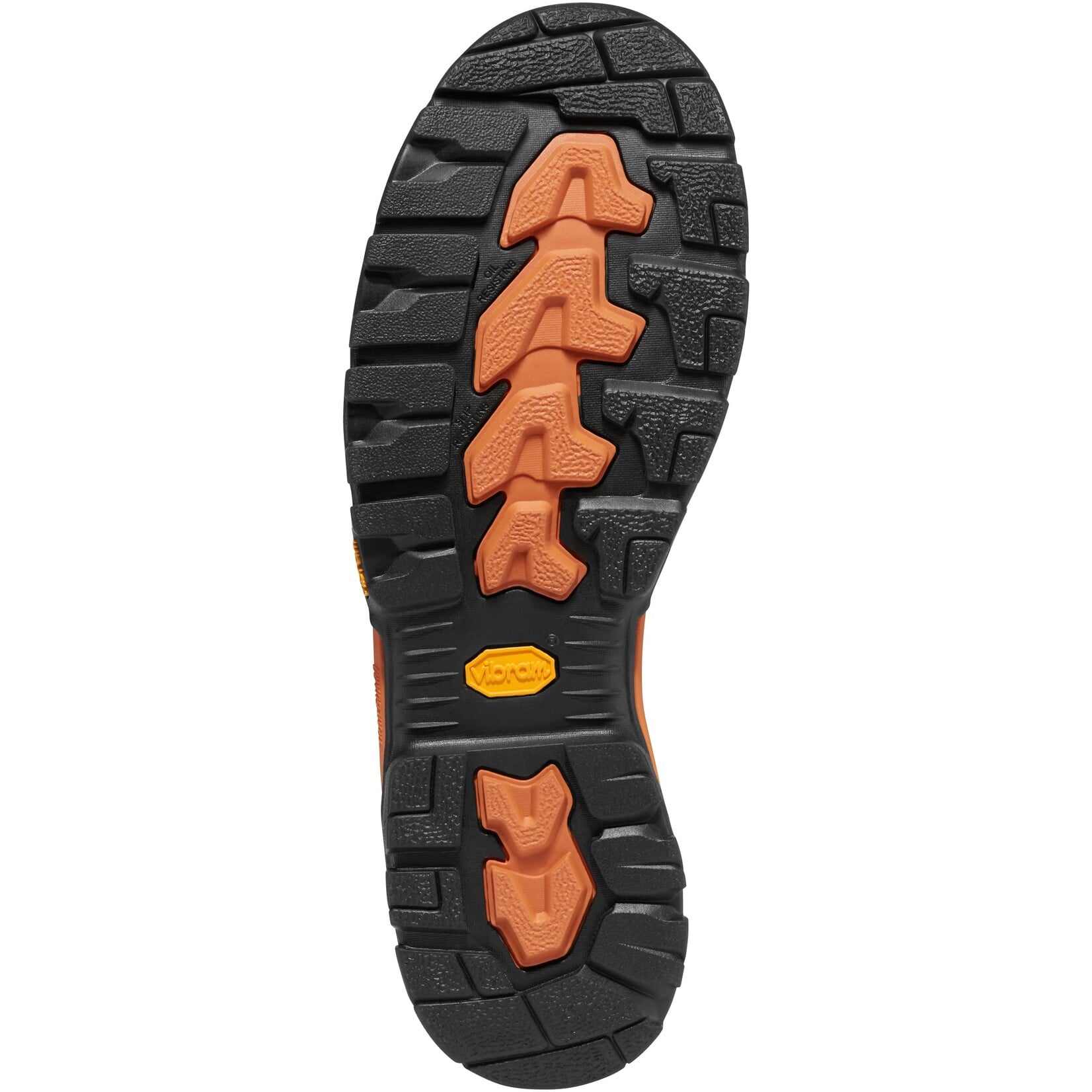 Danner Danner Boots Vicious Boa Comp Toe 13800