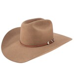 Stetson Griffen Dunn 10 X Beaver