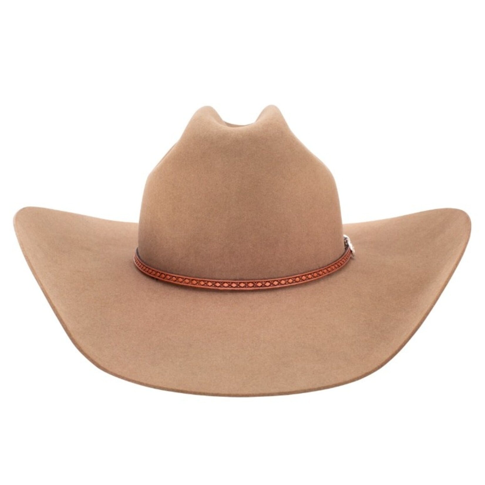 Stetson Griffen Dunn 10 X Beaver