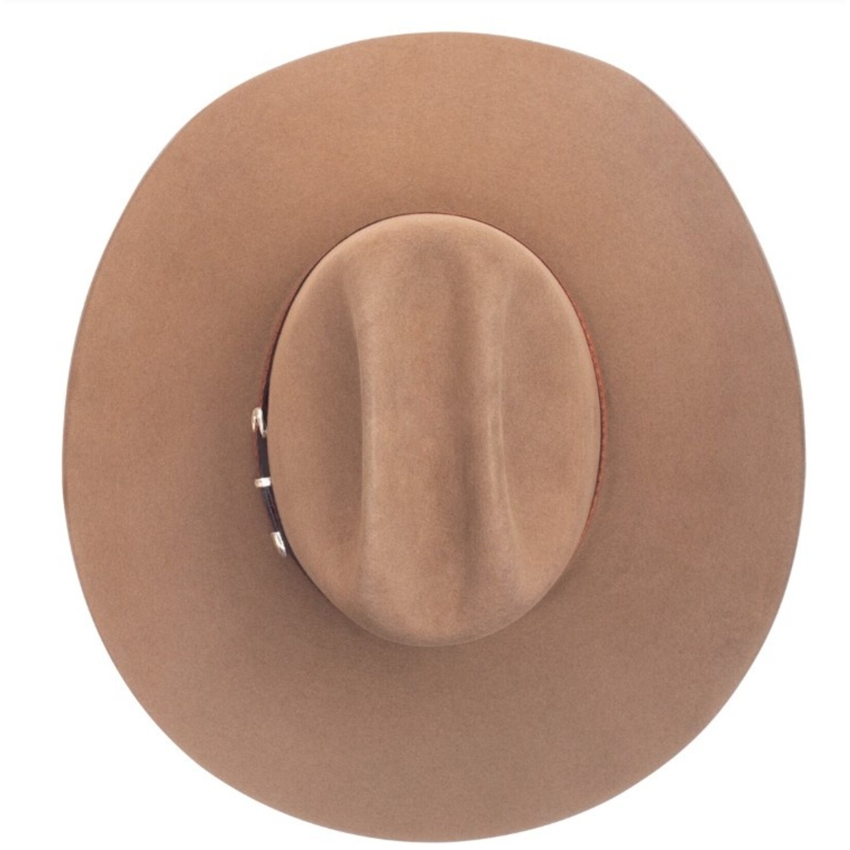 Stetson Griffen Dunn 10 X Beaver