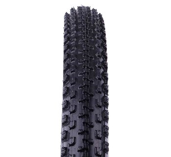 Tire, Evo Knotty 24 x 2.10