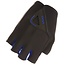 Evo Gloves, Half-Finger, Evo PalmerPro