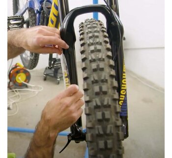 Bikeshield Protection, Phoenix