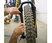 Bikeshield Protection, Phoenix