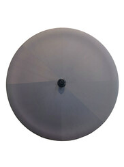 Carbonal Full Carbon Rear Disc Track Wheel