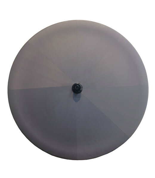 Carbonal Full Carbon Rear Disc Track Wheel