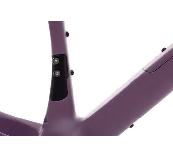 Bicycle Frame & Fork, Gravel Bike, Carbon All-Road v2, Dusty Merlot (Purple)