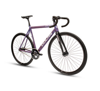 New Pre Cursa Track Bike Alpina Build