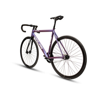 New Pre Cursa Track Bike Alpina Build