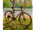 Breezer Doppler Cafe+