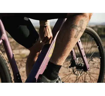 Bicycle Frame & Fork, Gravel Bike, Carbon All-Road v2, Dusty Merlot (Purple)
