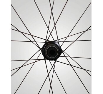 Paire de Roues Mavic Aksium Disc 19 DCL - 11 Vitesses