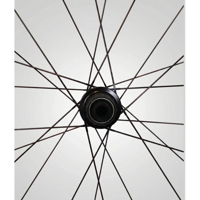 Mavic Mavic Aksium Disc 19 DCL Wheelset – 11-Speed