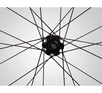 Paire de Roues Mavic Aksium Disc 19 DCL - 11 Vitesses