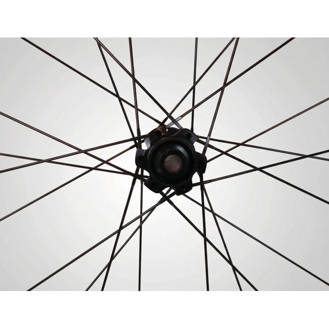 Mavic Mavic Aksium Disc 19 DCL Wheelset – 11-Speed