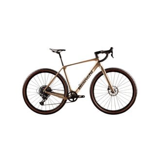 Bianch Arcadex  Comp -GRX 610 12sp- Bianchi