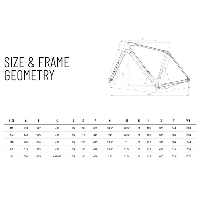Bianchi Arcadex  Comp -GRX 610 12sp- Bianchi