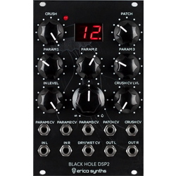 Erica Synths Black Hole DSP2