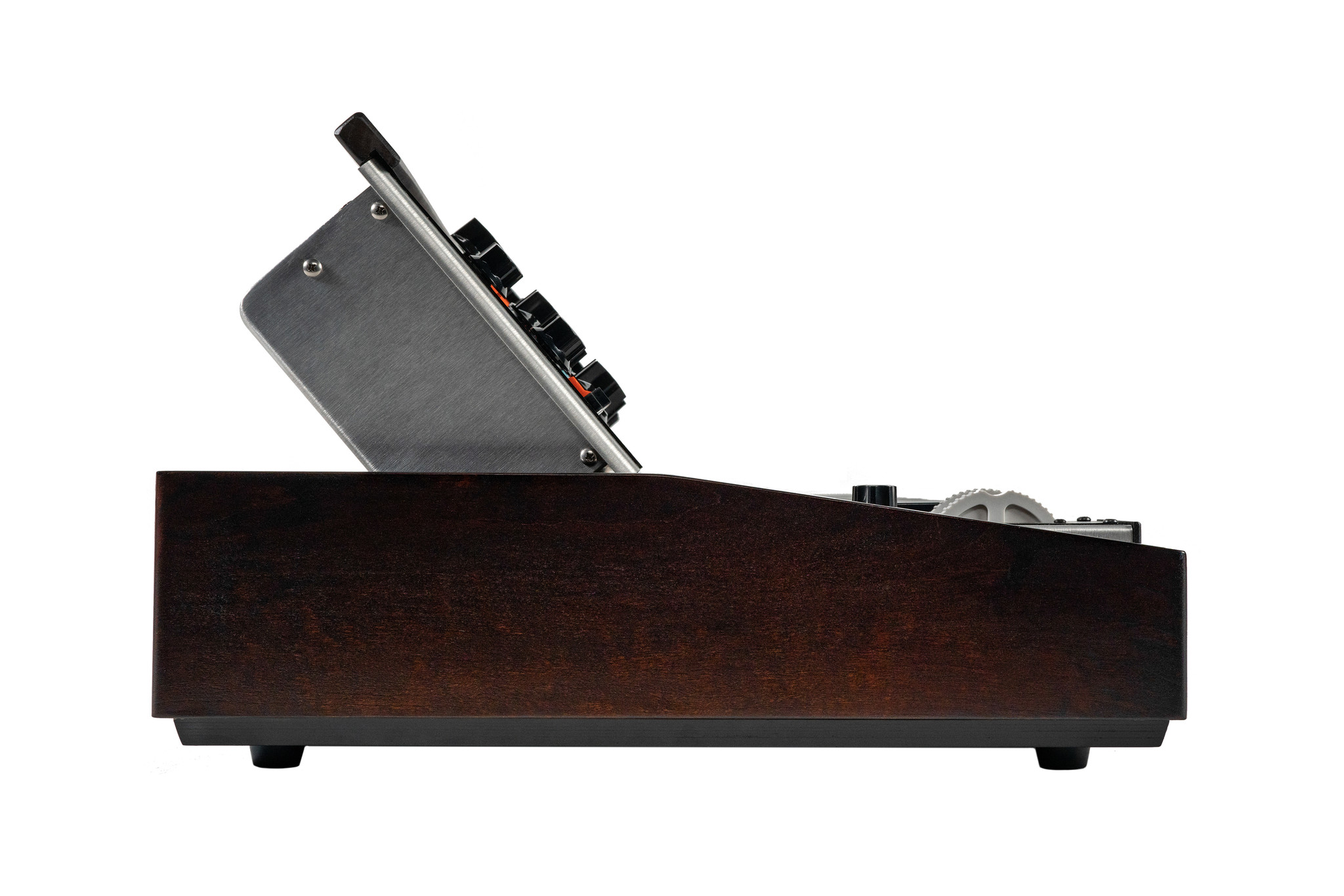 Moog MiniMoog Model D 2022