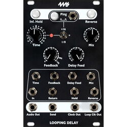 4ms Looping Delay