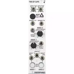 Endorphin.es Two of Cups, Silver, USED