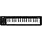 Korg microKEY37, USED