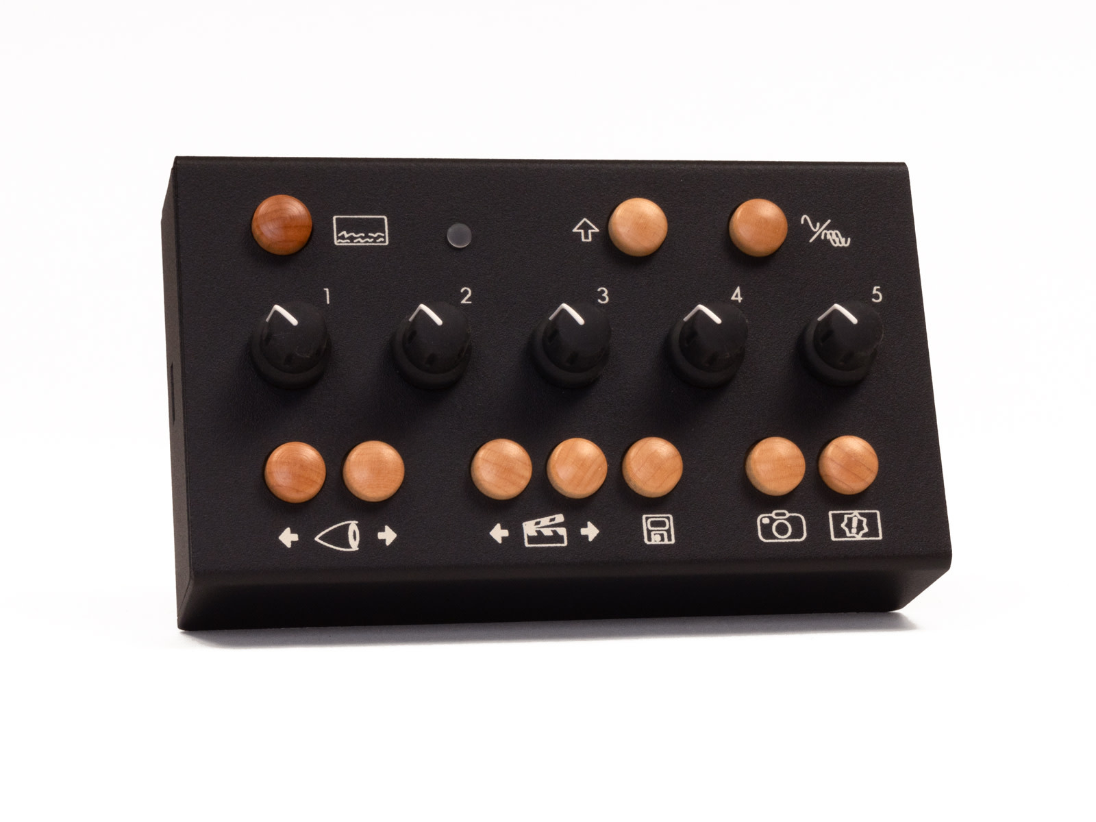 Critter & Guitari EYESY