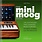 BJOOKS The Minimoog Book