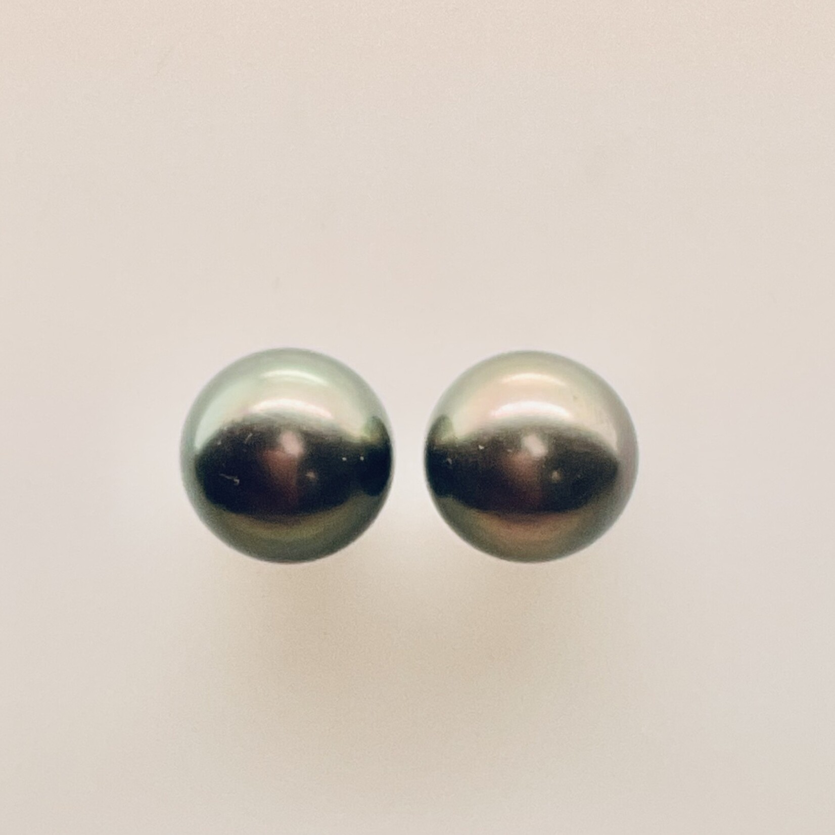 Black Tahitian Pearl 14 Kt W 10.mm earrings