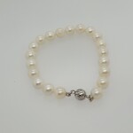 Ladies Baby Pearls Bracelet 6 In