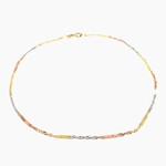 10 Kt Tri-Color Anklet 9.5"