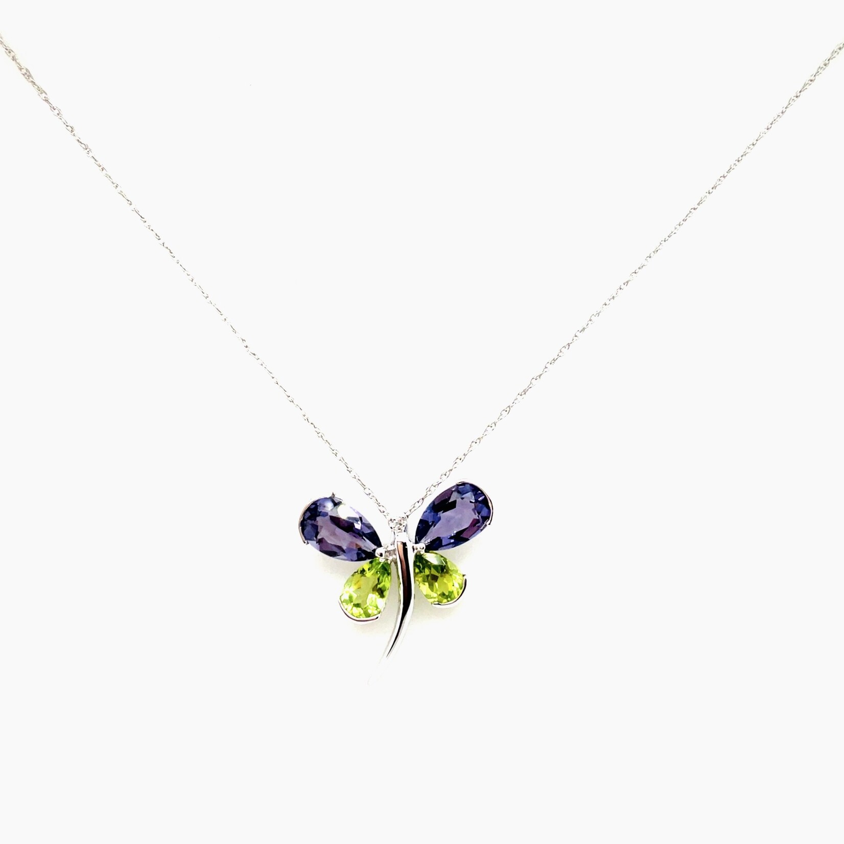 14 Kt WG 18" Chain & Dragonfly Necklace