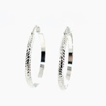 10 Kt WG Hoop Earrings