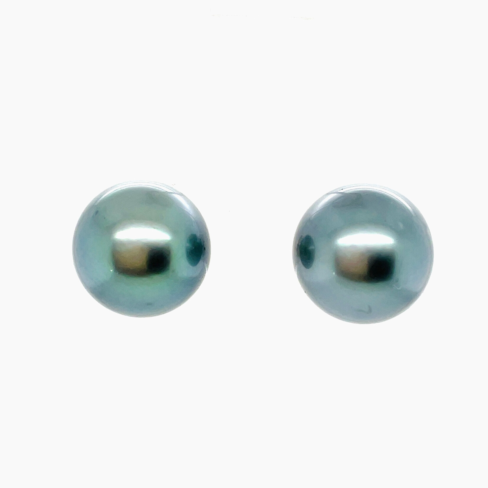 14KT WG 11mm South Sea Pearl Earrings