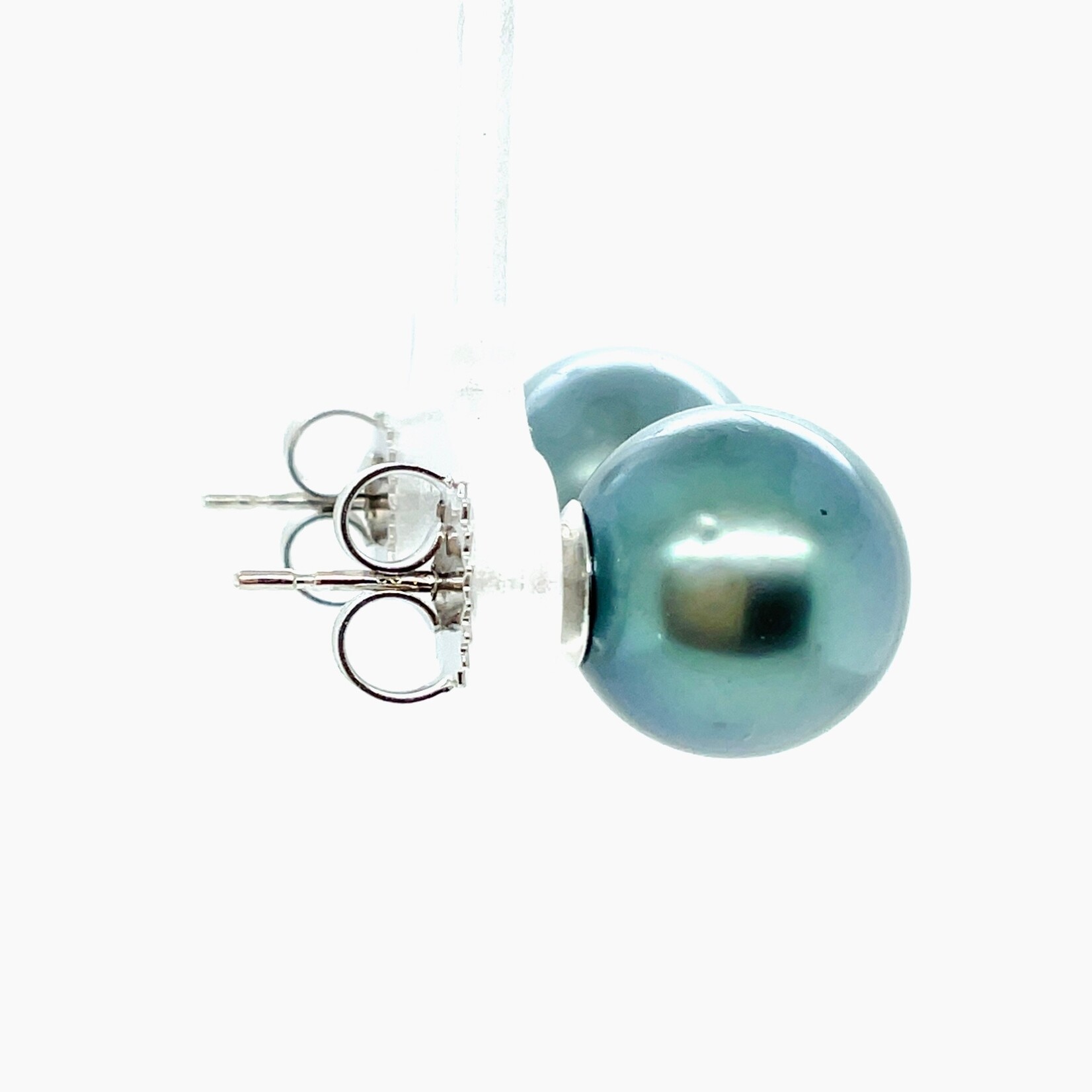 14KT WG 11mm South Sea Pearl Earrings