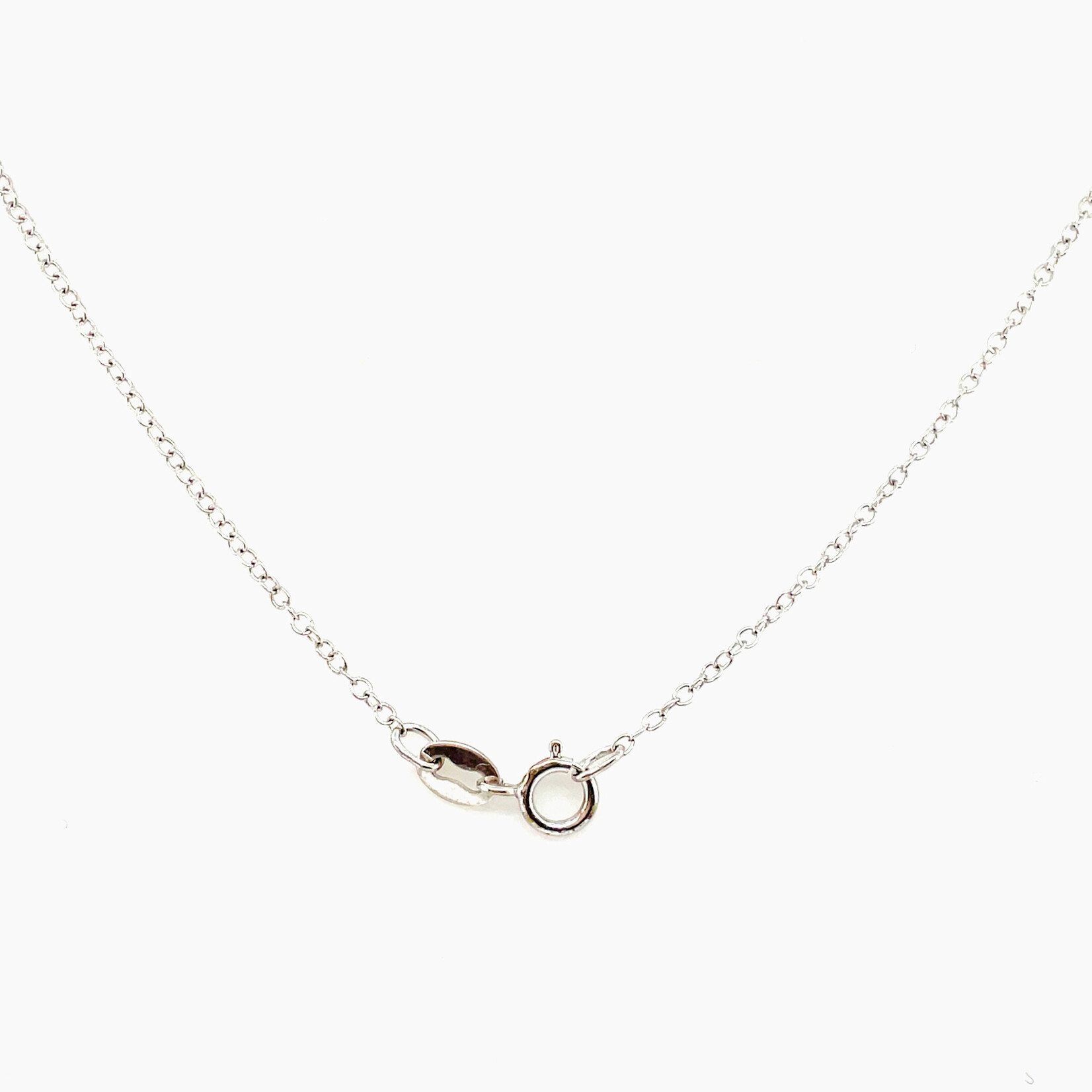 Sterling Silver Palmetto CZ Pendant & Chain