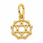 Gold Filled Star of David inside Wreath Charm