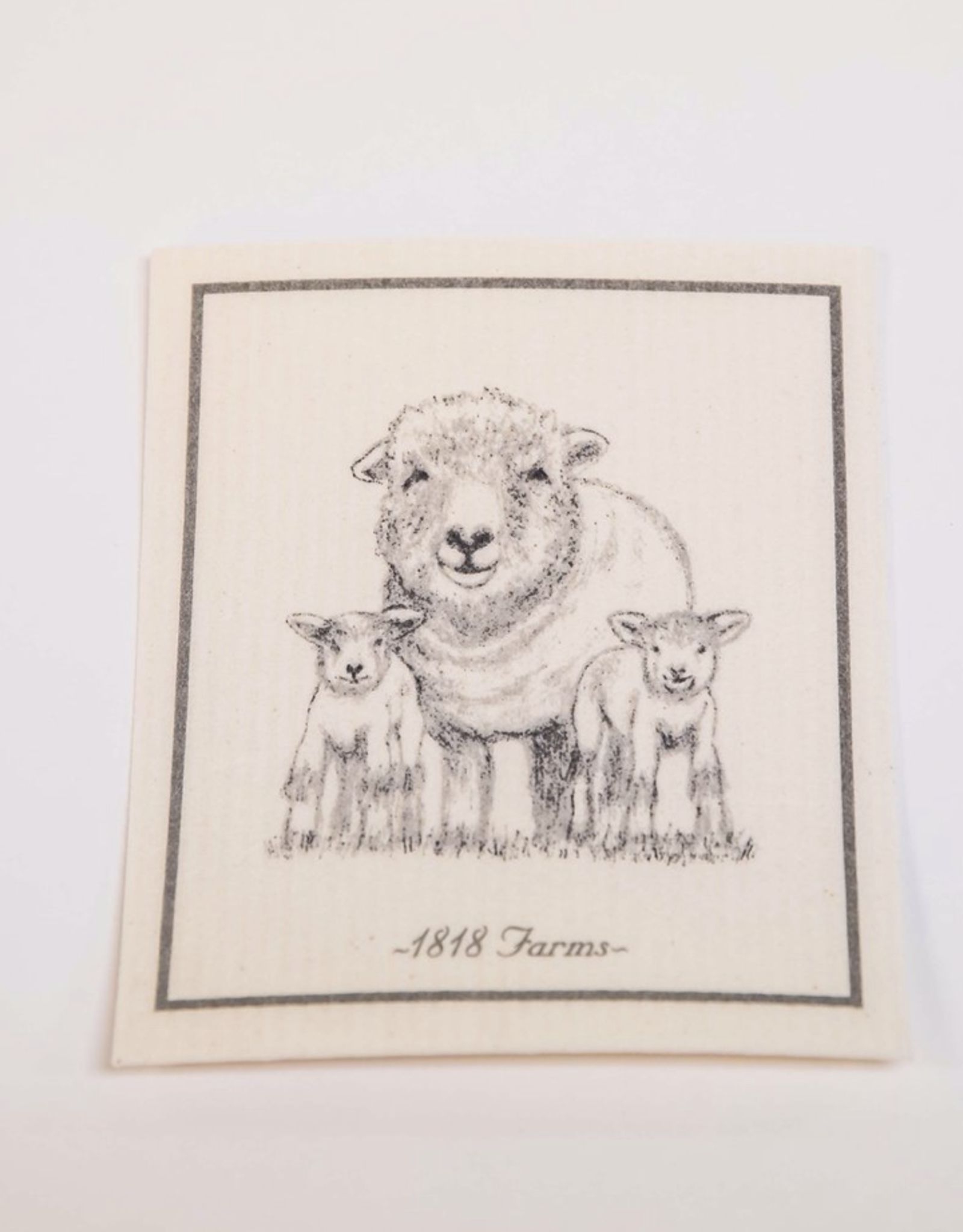 Dishcloth Lulu & Twins