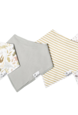 Bandana Bib Set Rex 4Pk