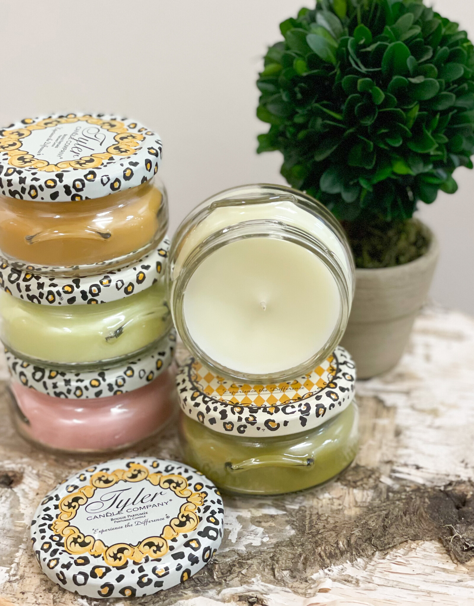 3 oz Tyler Candle Mulled Cider