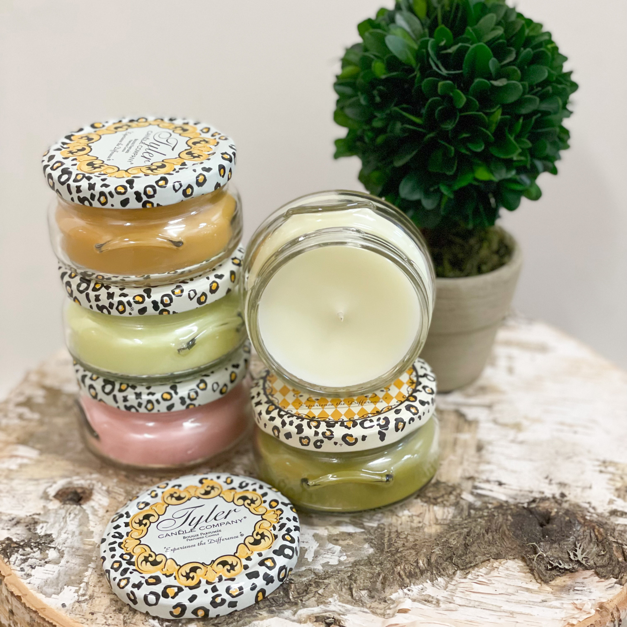 3 oz Tyler Candle Limelight Monograms Plus Cullman