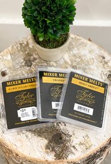 Mixer Melts Mulled Cider