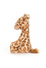Giraffe Bashful MD